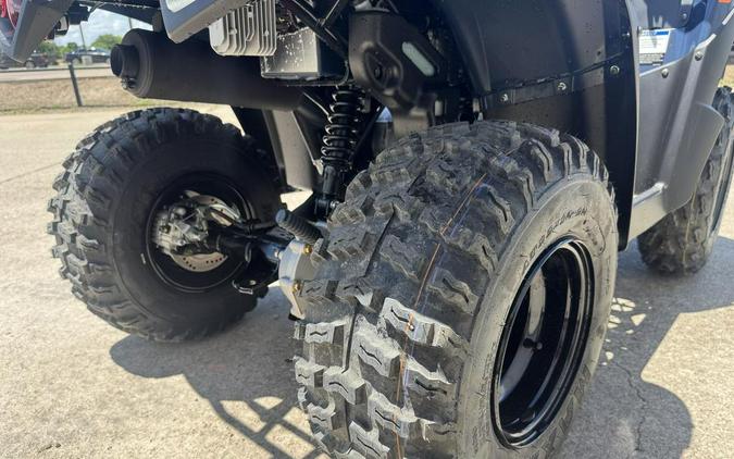 2026 Kawasaki Brute Force® 300