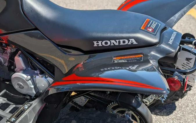 2024 Honda TRX 90X