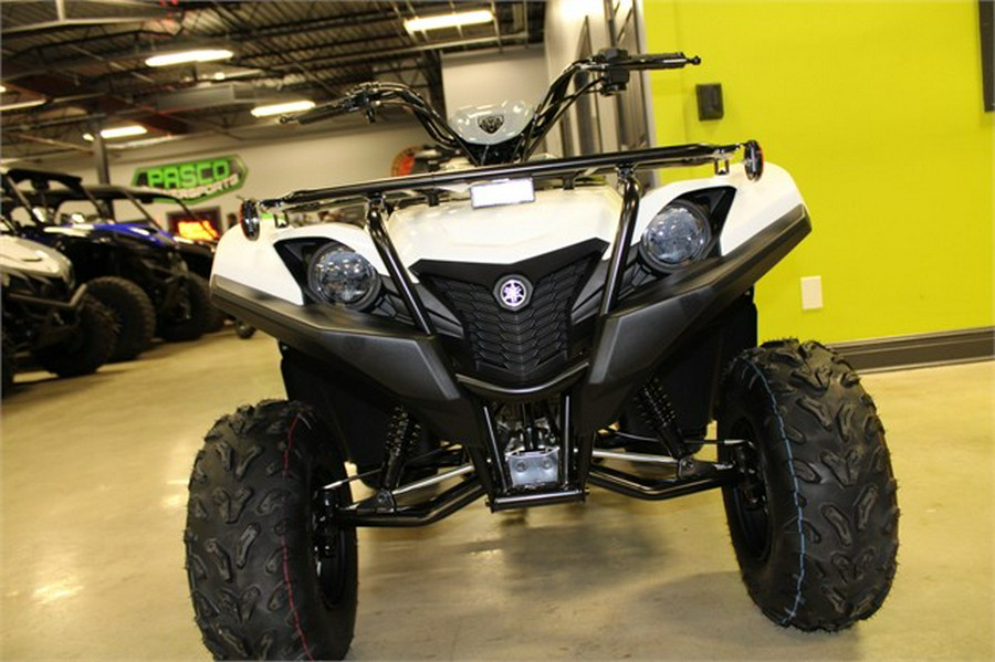 2024 Yamaha Grizzly 90 / YFM09GYXRW