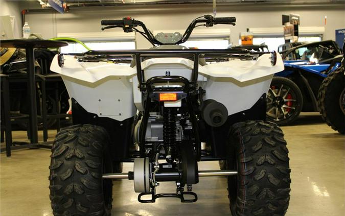 2024 Yamaha Grizzly 90 / YFM09GYXRW