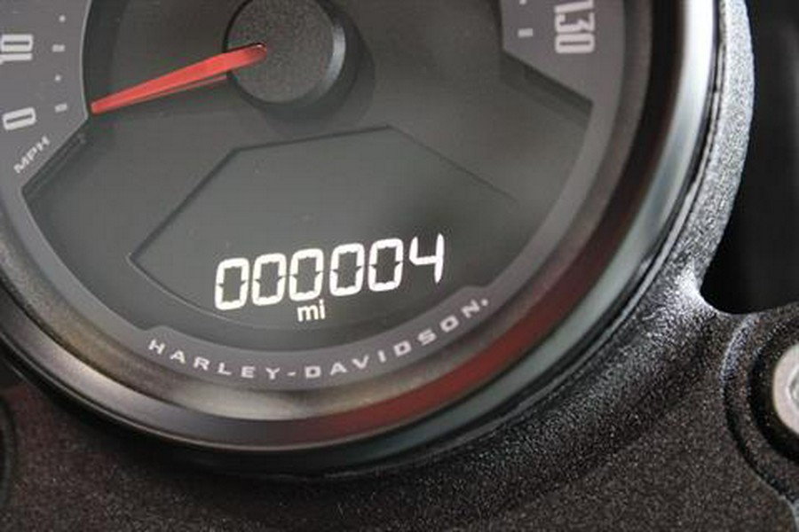 2025 Harley-Davidson Low Rider® S