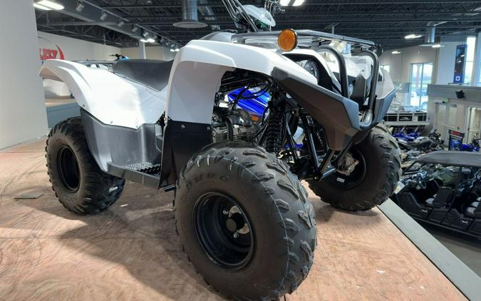 2024 Yamaha Grizzly 90