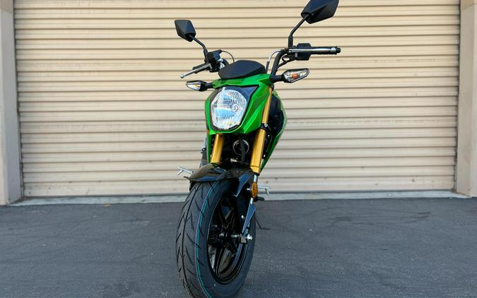 2024 Kawasaki Z125 PRO