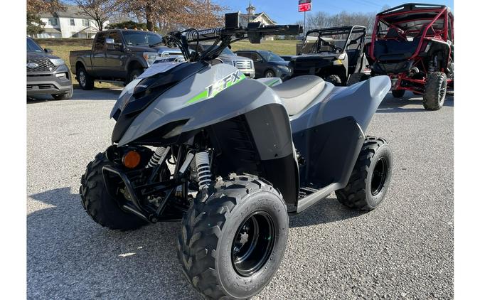 2024 Kawasaki KFX 50