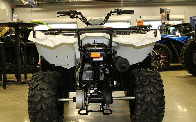 2024 Yamaha Grizzly 90 / YFM09GYXRW