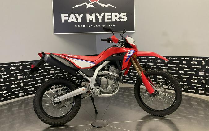 2025 HONDA CRF300L ABS - 15557U