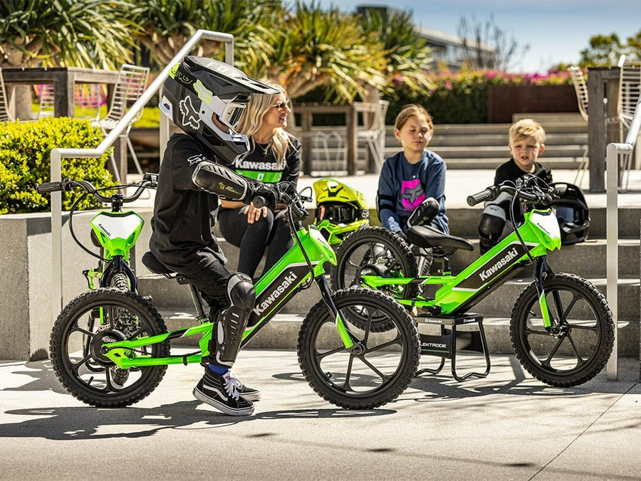 2023 Kawasaki Elektrode