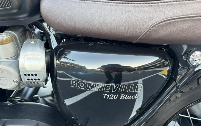 2023 Triumph Bonneville T120 Black Sapphire Black / Matte Sapph