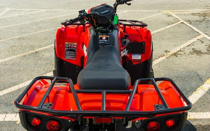2026 Kawasaki Brute Force 300