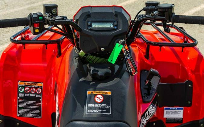 2026 Kawasaki Brute Force 300