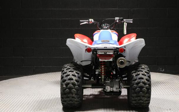 2026 Honda® TRX250X