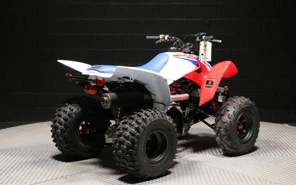 2026 Honda® TRX250X
