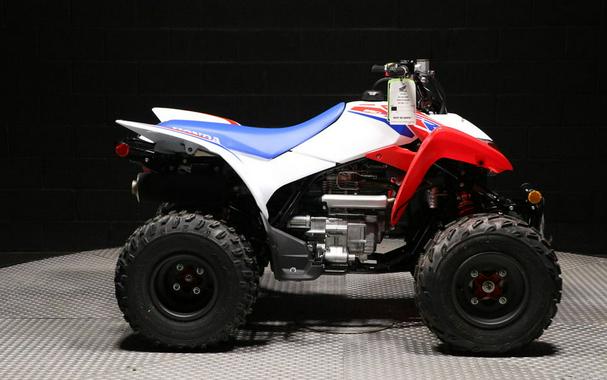 2026 Honda® TRX250X