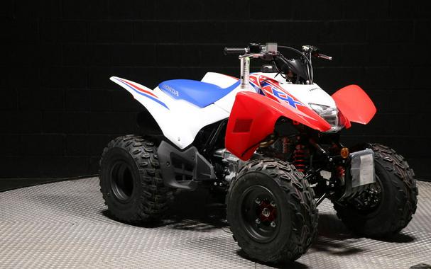 2026 Honda® TRX250X