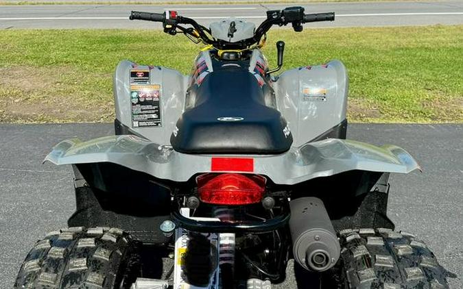 2022 Polaris® Phoenix 200