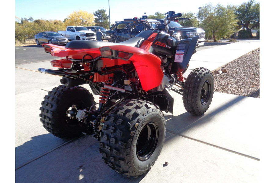 2024 Can-Am DS 250