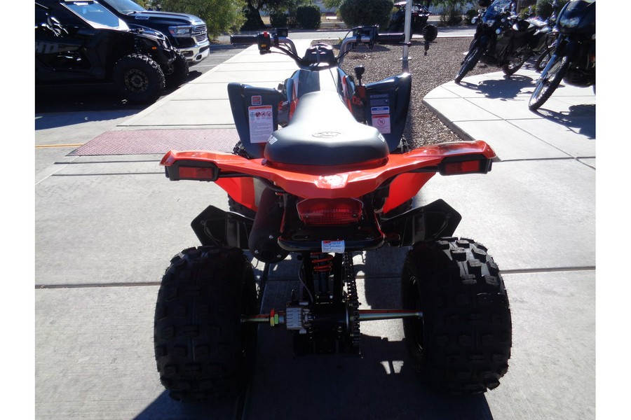 2024 Can-Am DS 250