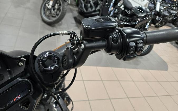 2019 HARLEY SOFTAIL FXDR 114