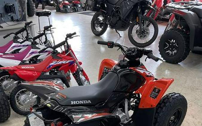 2024 Honda® TRX90X