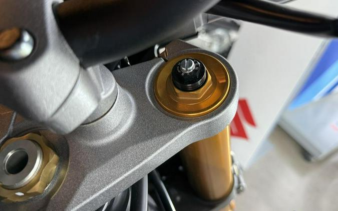 New 2024 Suzuki GSX-S1000