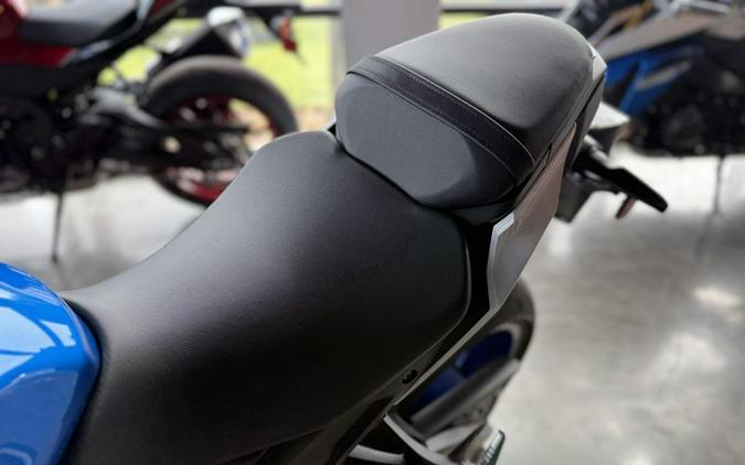 New 2024 Suzuki GSX-S1000