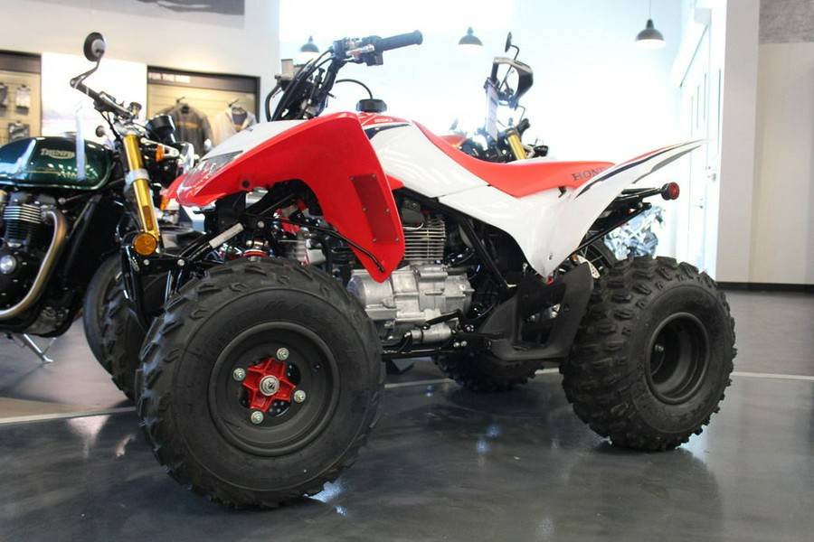 2024 Honda TRX 250X