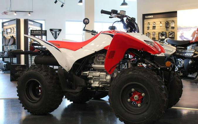 2024 Honda TRX 250X