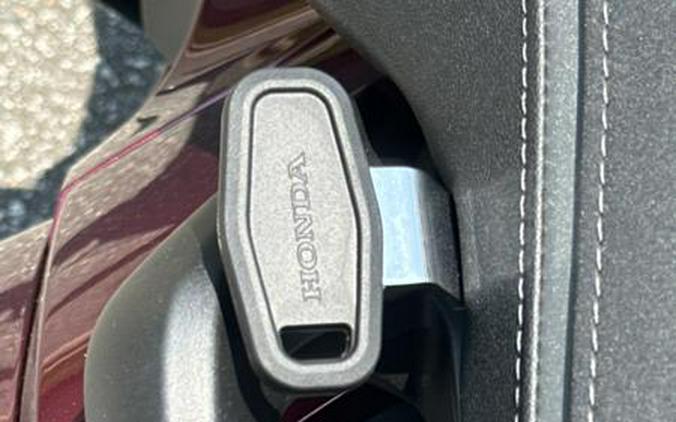 2025 Honda® Gold Wing Tour 50th Anniversary DCT