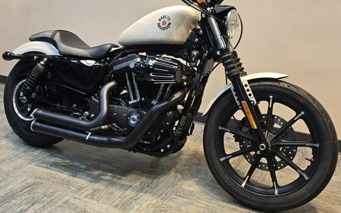 2022 Harley-Davidson® Iron 883™ White Gold Pearl XL883N