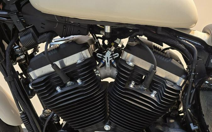 2022 Harley-Davidson® Iron 883™ White Gold Pearl XL883N