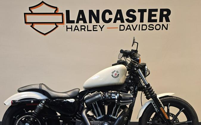 2022 Harley-Davidson® Iron 883™ White Gold Pearl XL883N
