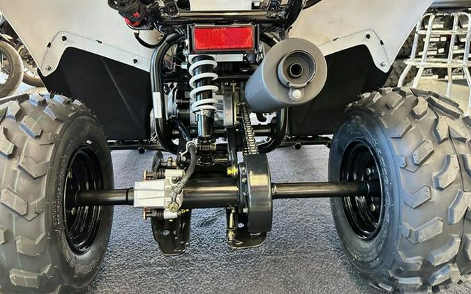 2026 Kawasaki KFX 50