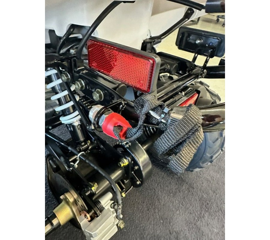 2026 Kawasaki KFX 50