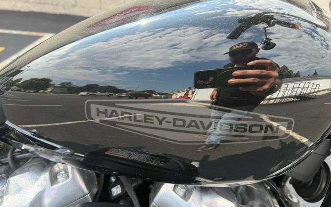 2020 Harley-Davidson Softail® Standard