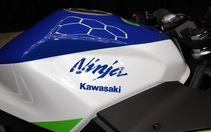 2024 Kawasaki Ninja 500 SE 40th Anniversary Edition ABS