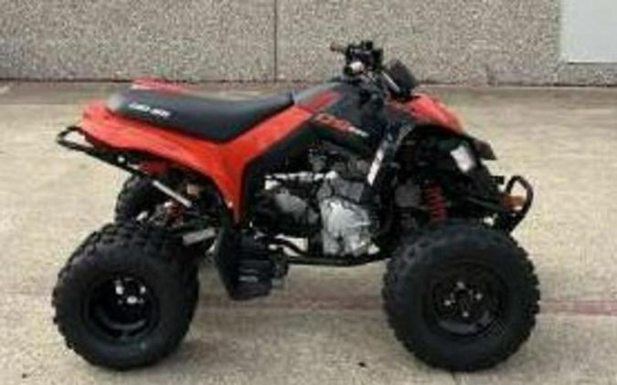 2024 Can-Am® DS 250