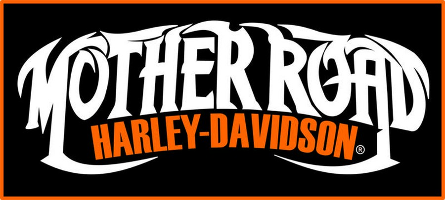 2010 Harley-Davidson® FLHX - Street Glide®
