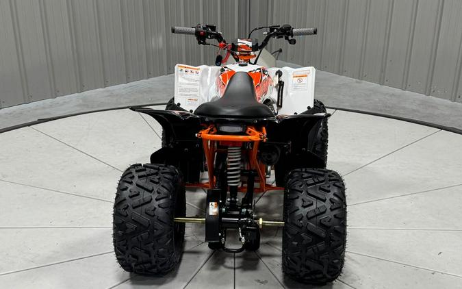 2026 Kayo PREDATOR 110