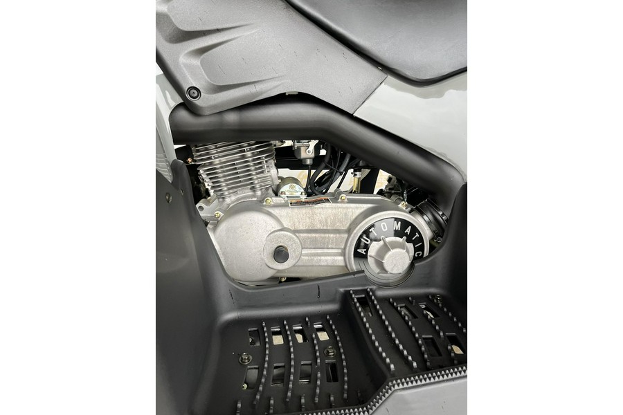 2023 Polaris Phoenix™ 200