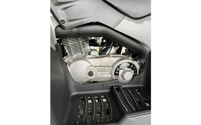 2023 Polaris Phoenix™ 200