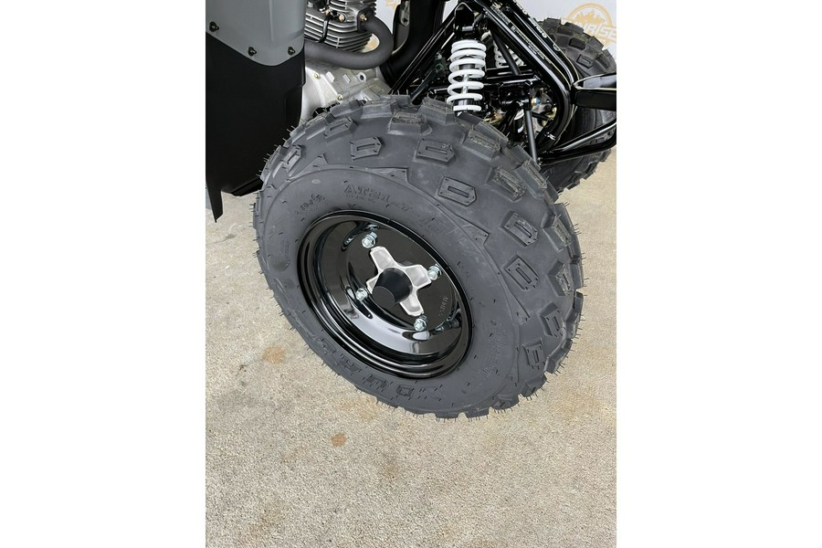 2023 Polaris Phoenix™ 200