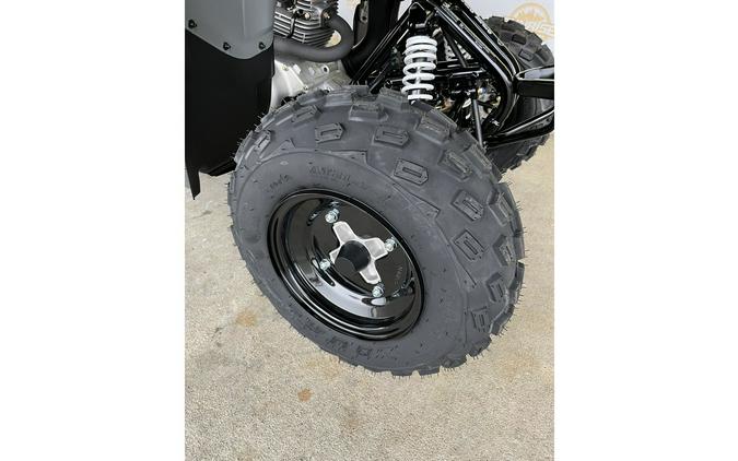 2023 Polaris Phoenix™ 200