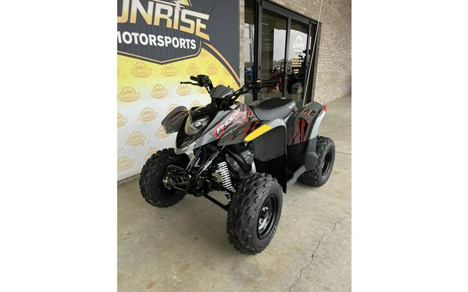 2023 Polaris Phoenix™ 200