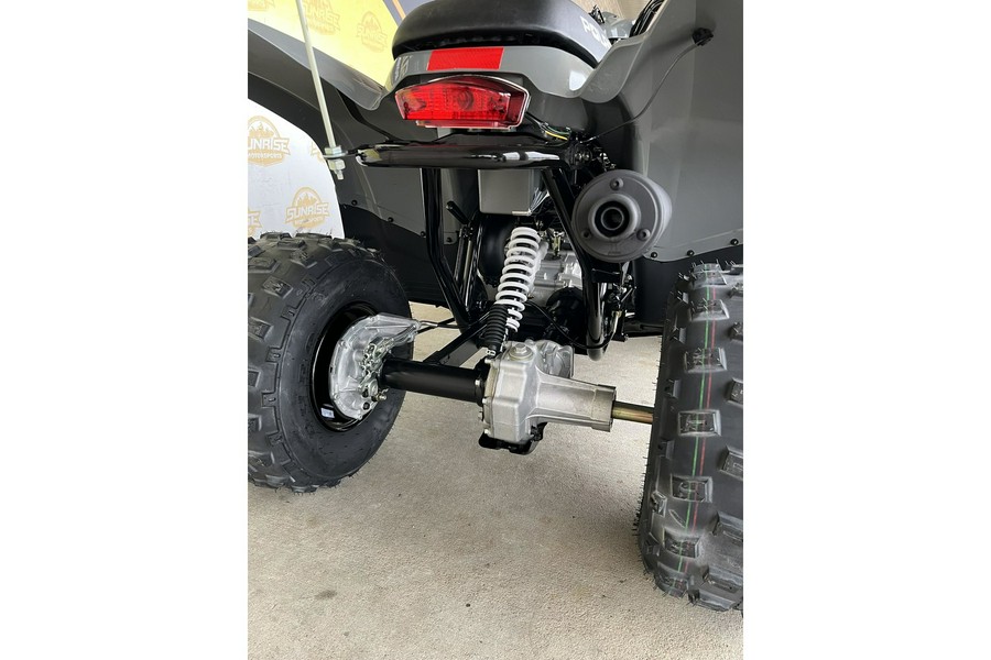 2023 Polaris Phoenix™ 200