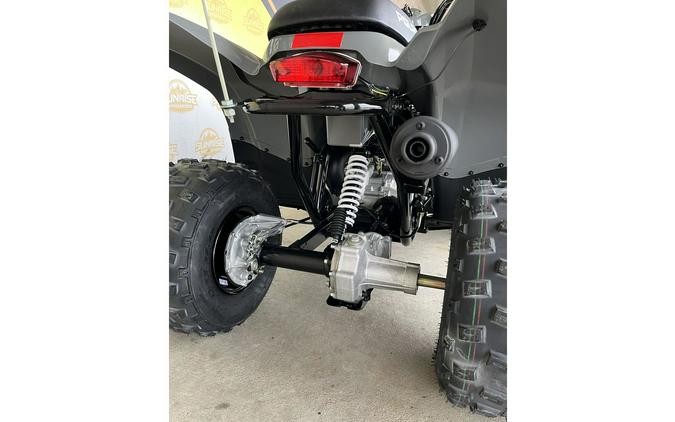 2023 Polaris Phoenix™ 200