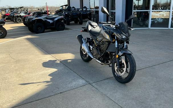 2026 Kawasaki Z500 ABS