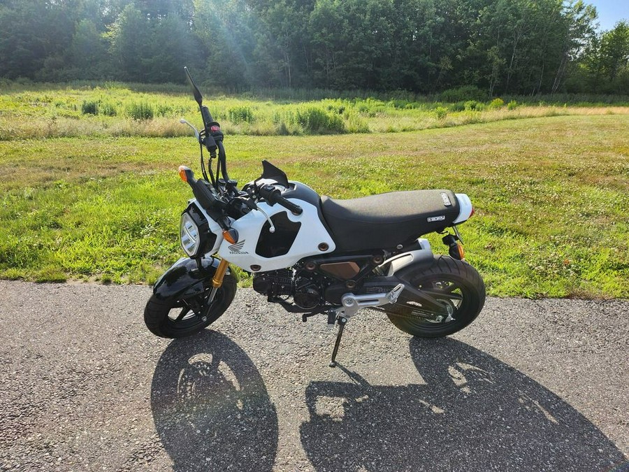 2024 Honda® Grom ABS