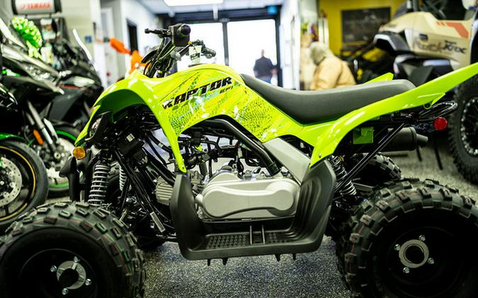 2026 Yamaha Raptor 110