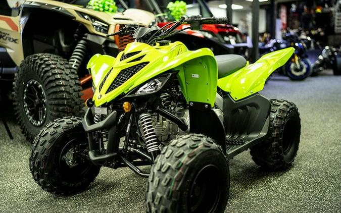 2026 Yamaha Raptor 110