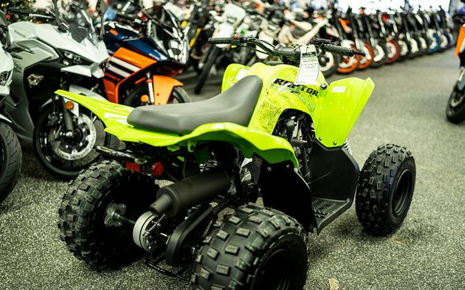 2026 Yamaha Raptor 110